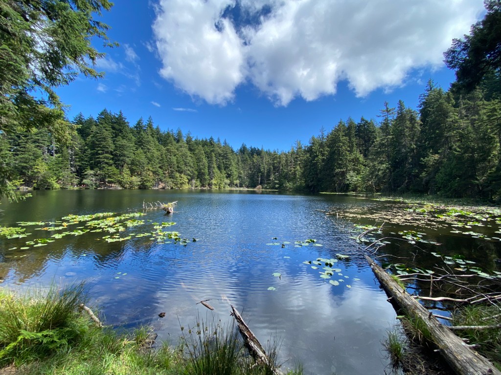 Twin Lakes Moran State Park